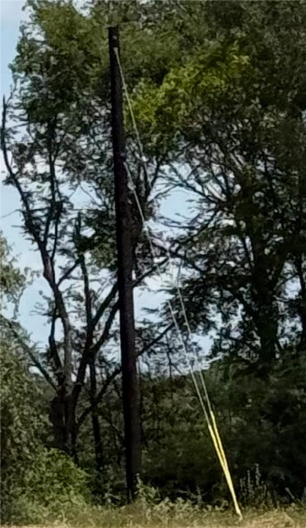 1755 Pleasant Hill Road Bryan, TX 77807 - Photo 26 of 28 a view of a tree