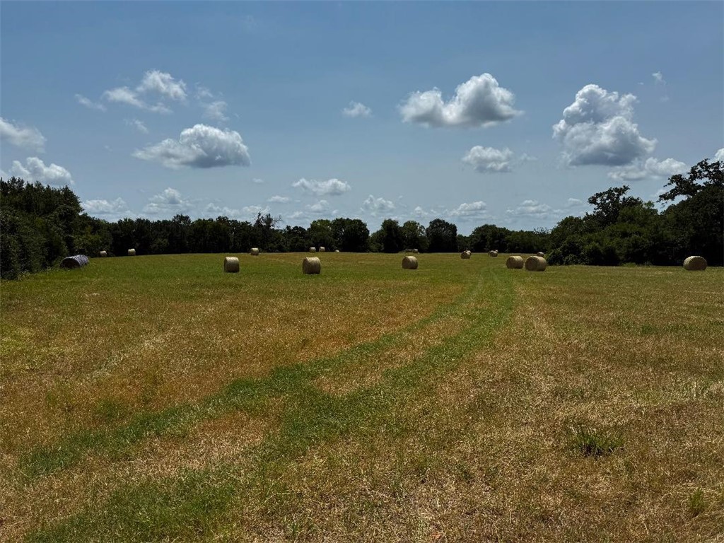 1755 Pleasant Hill Road Bryan, TX 77807 - Photo 28 of 28