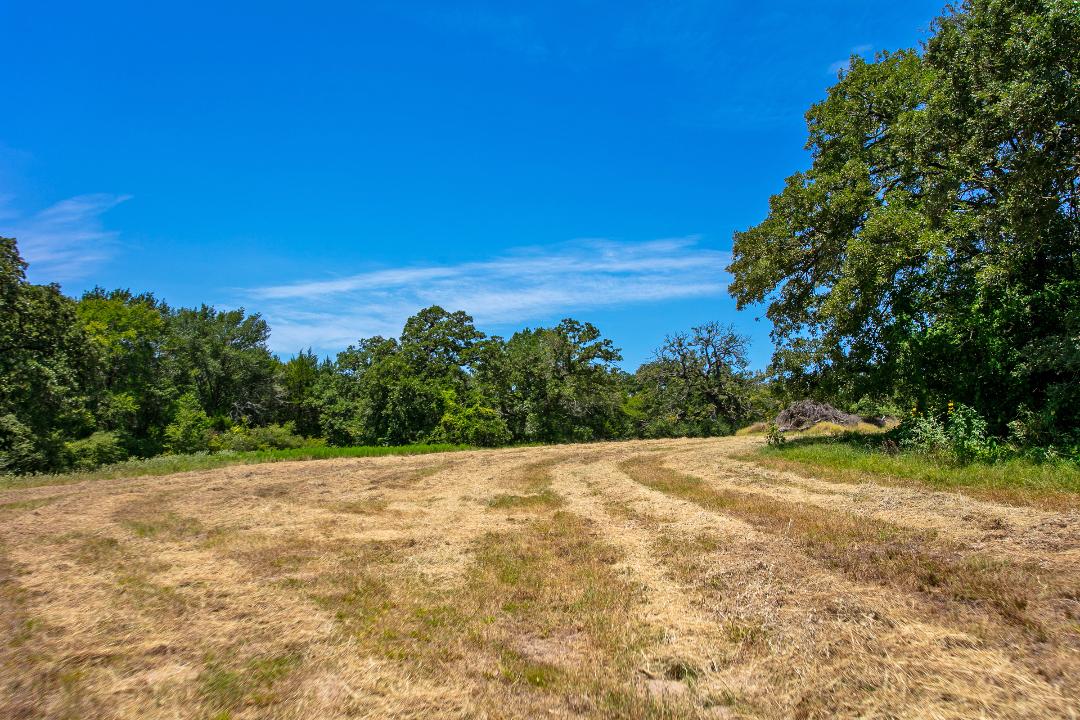 1755 Pleasant Hill Road Bryan, TX 77807 - Photo 6 of 28 a view of an outdoor space with yard