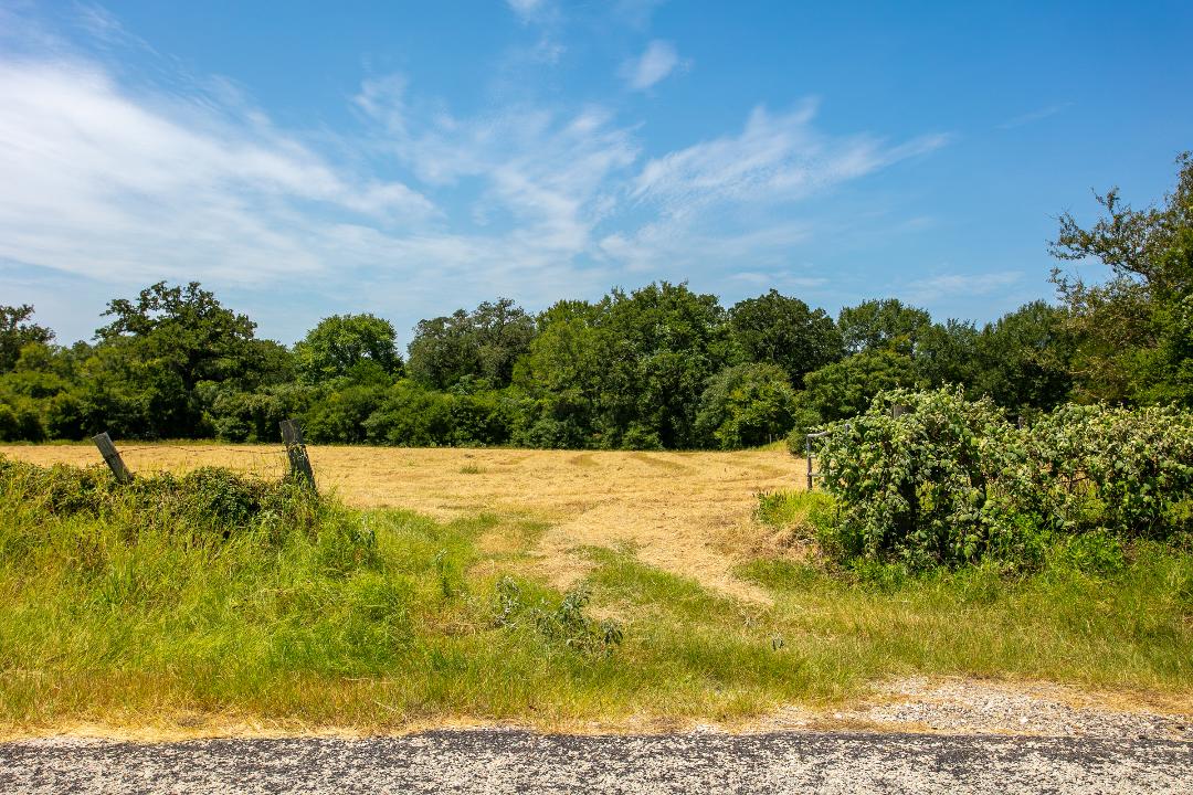 1755 Pleasant Hill Road Bryan, TX 77807 - Photo 10 of 28 a view of yard with swimming pool and green space