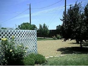 4681 North Meixner Road Prescott Valley, AZ 86314 - Photo 3 of 7 Additional Photo