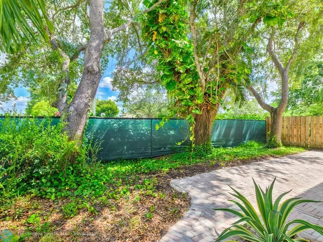 a view of a backyard with plants and large trees