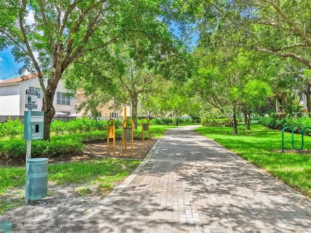 a view of a park with large trees