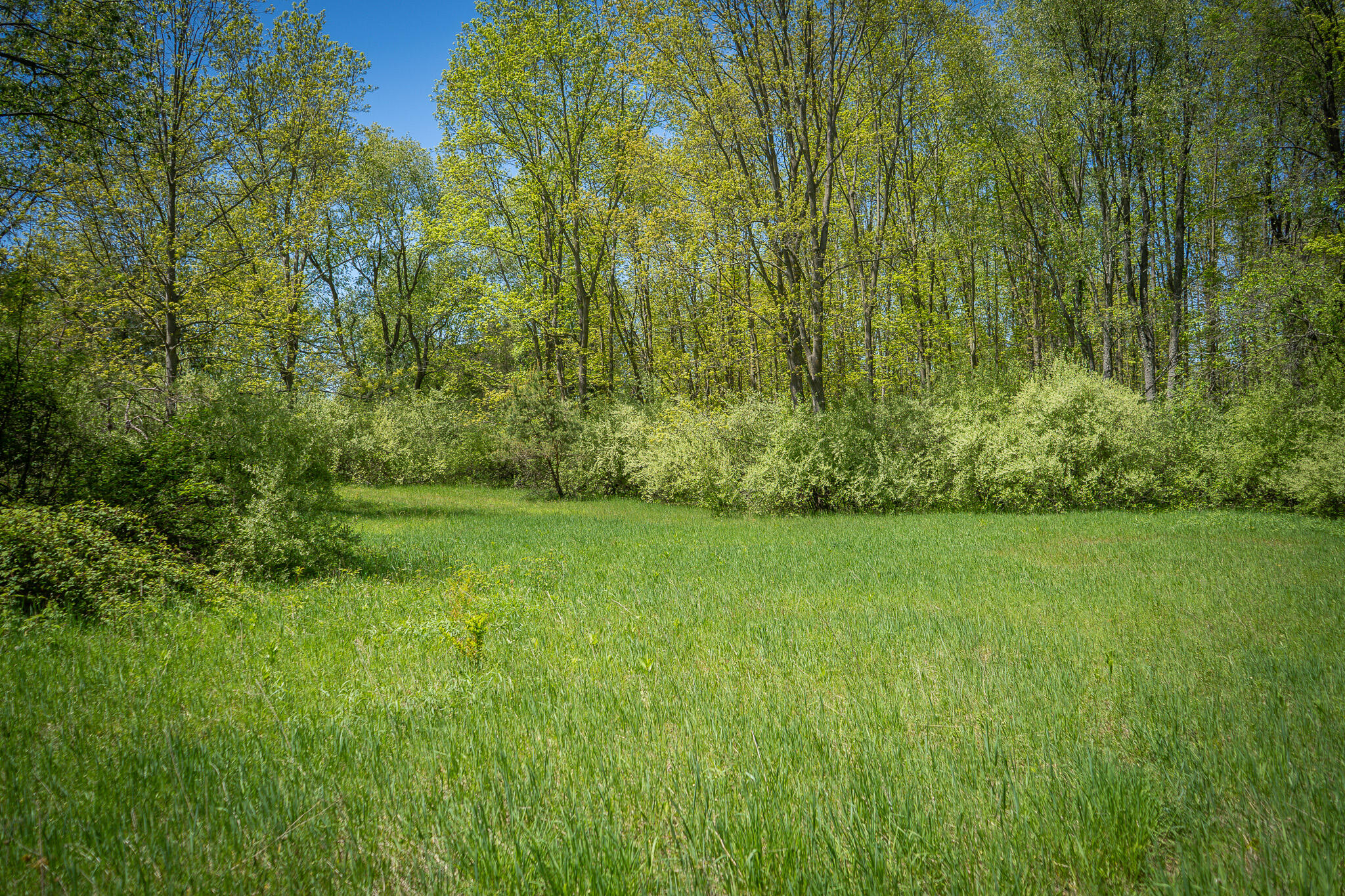 Parcel B East Conrad Road Scottville, MI 49454 - Photo 14 of 52 DSC06508