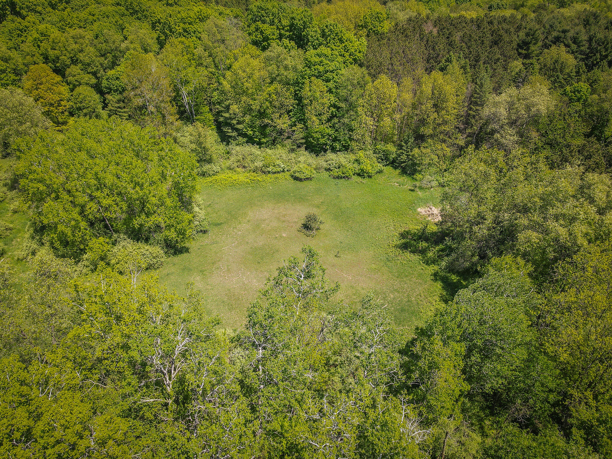 Parcel B East Conrad Road Scottville, MI 49454 - Photo 2 of 52 DJI_0457