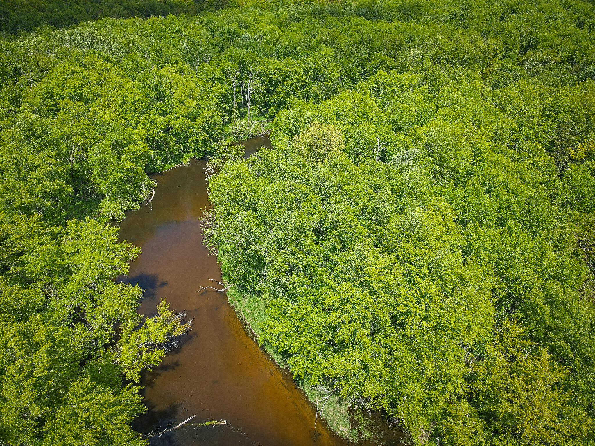 Parcel B East Conrad Road Scottville, MI 49454 - Photo 5 of 52 DJI_0478