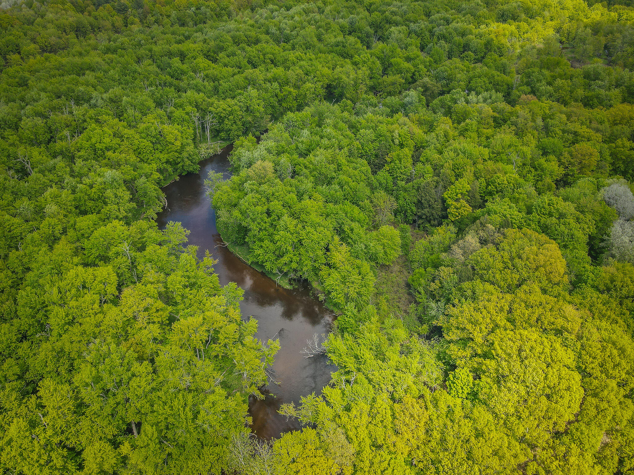 Parcel B East Conrad Road Scottville, MI 49454 - Photo 7 of 52 DJI_0483