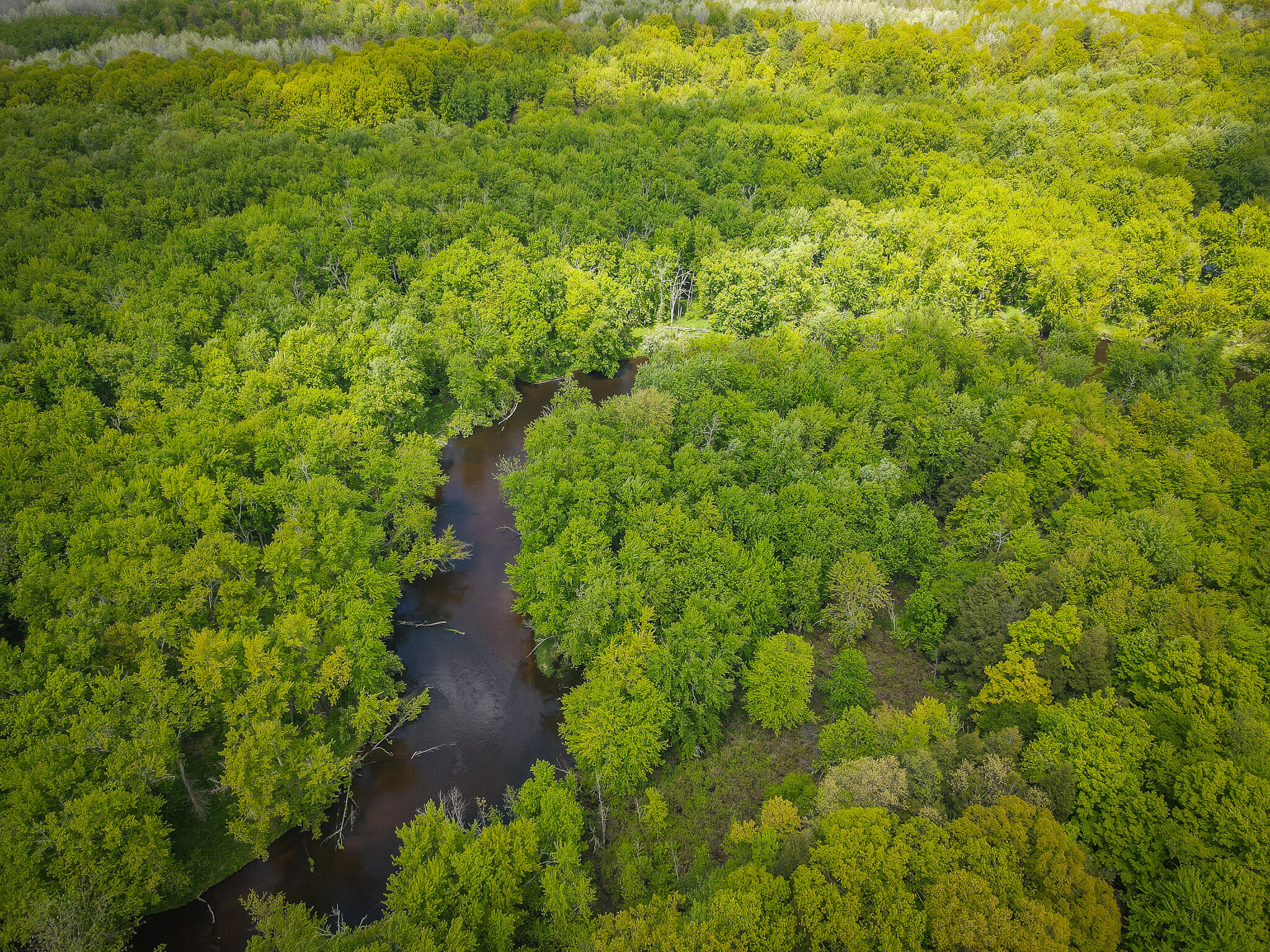 Parcel B East Conrad Road Scottville, MI 49454 - Photo 8 of 52 DJI_0486