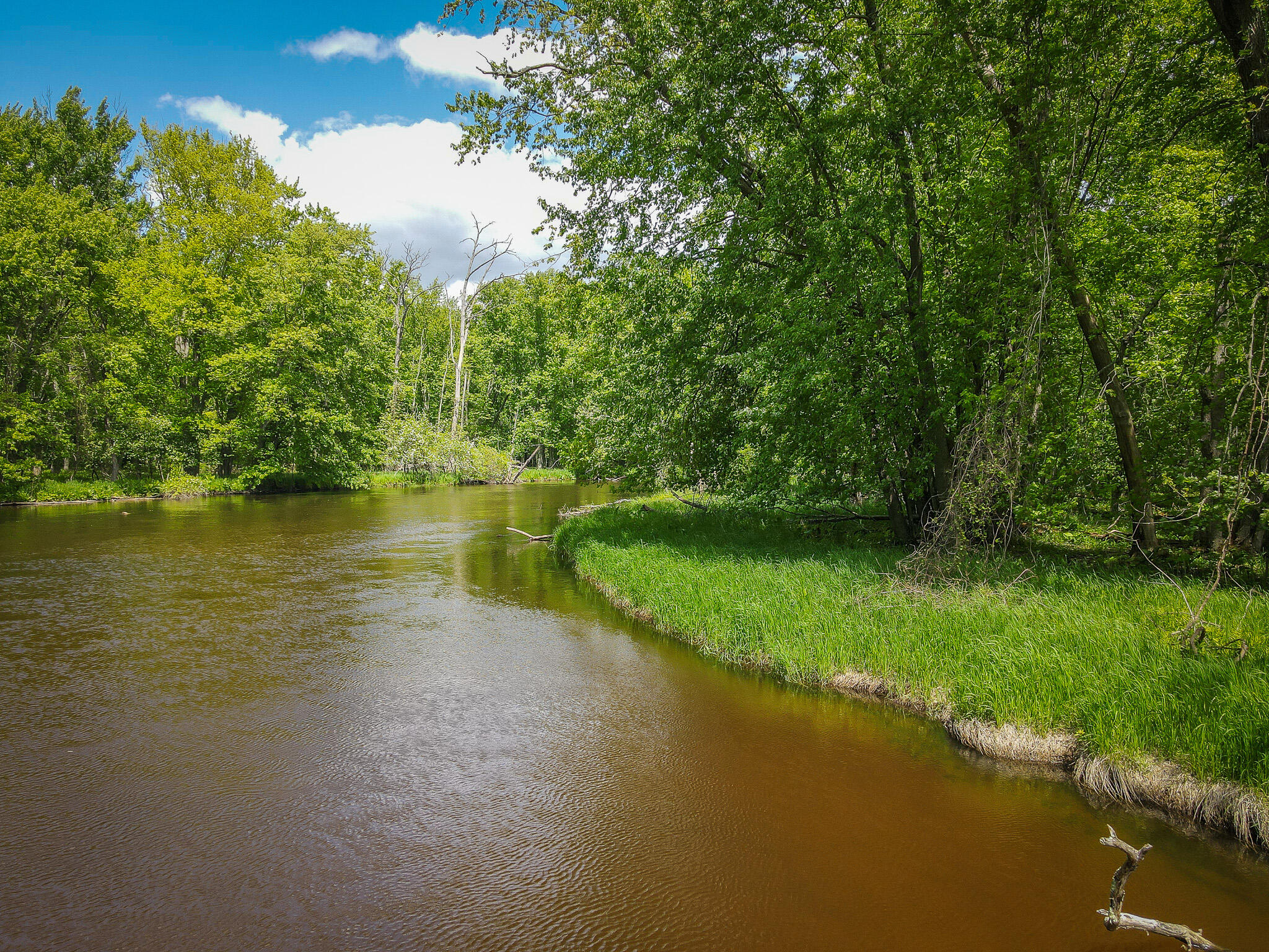 Parcel B East Conrad Road Scottville, MI 49454 - Photo 9 of 52 DJI_0488