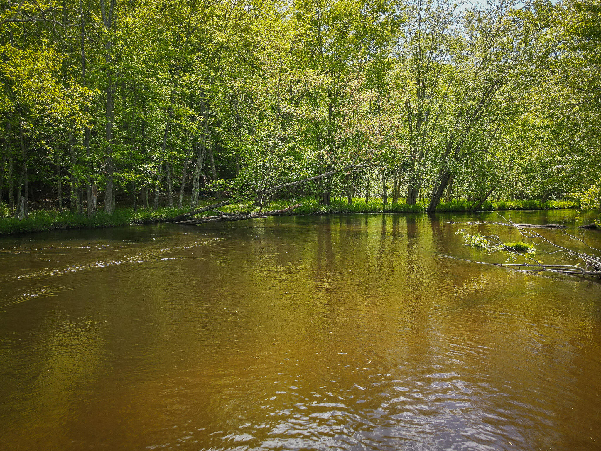 Parcel B East Conrad Road Scottville, MI 49454 - Photo 10 of 52 DJI_0492