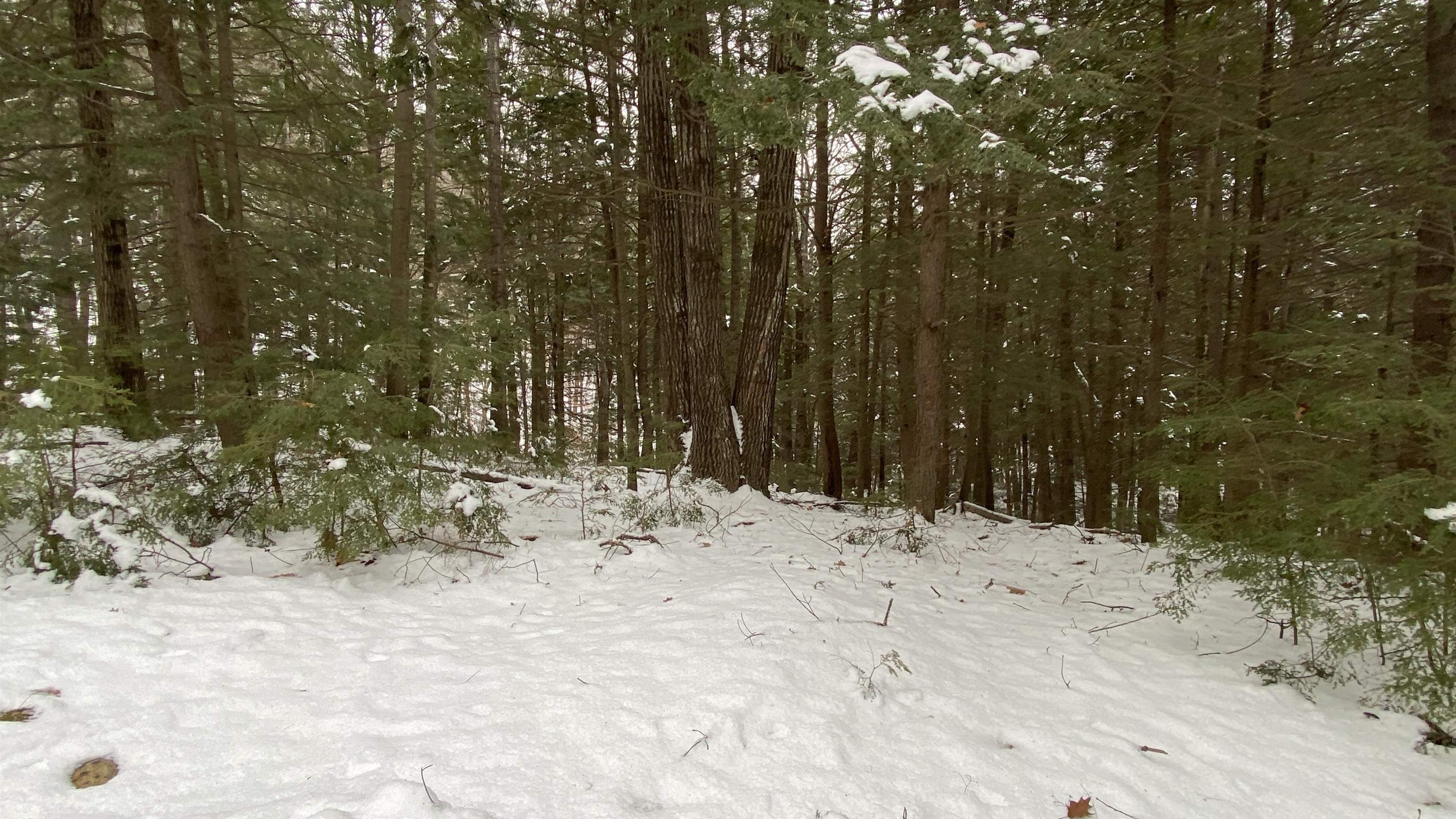 0 Mountain Road Loudon, NH 03307 - Photo 11 of 17