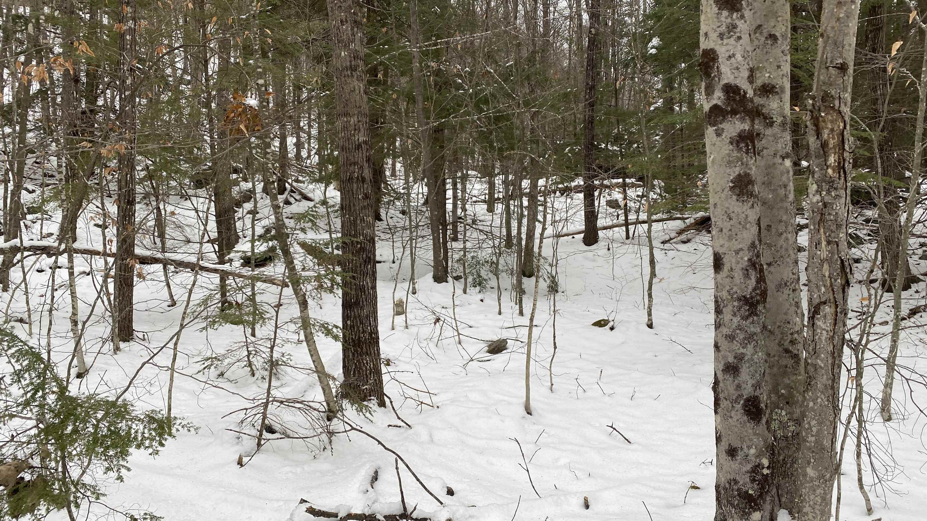 0 Mountain Road Loudon, NH 03307 - Photo 13 of 17