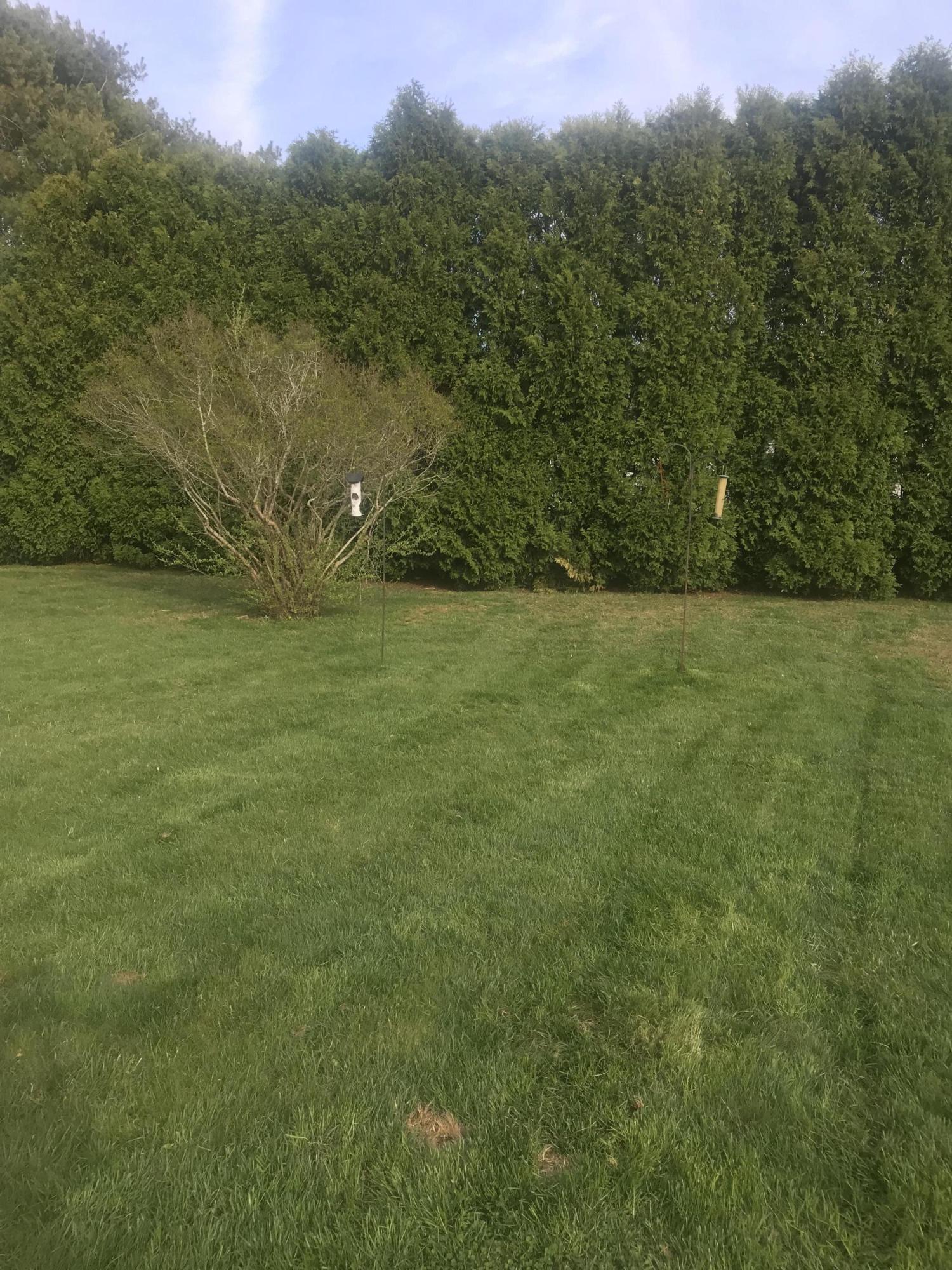 14 Wellfield Road Forestdale, MA 02644 - Photo 5 of 28 Backyard