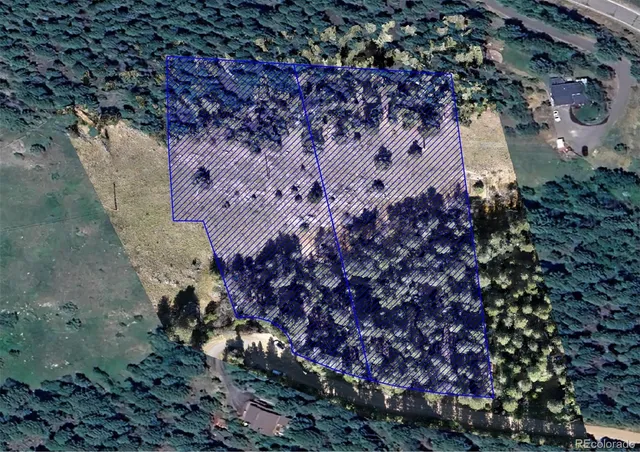 a view of a dry yard covered with trees