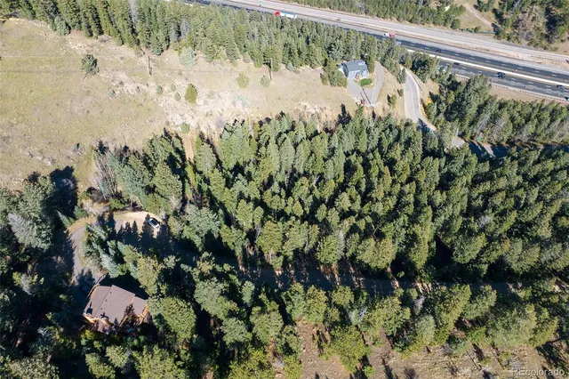 a view of a yard with a tree