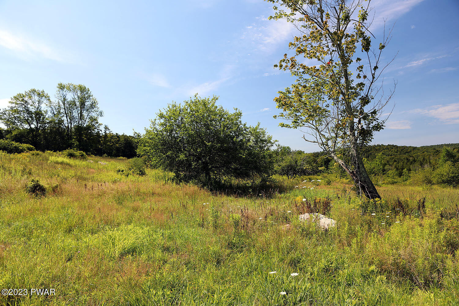 178 Baldwin Hill Road Damascus, PA 18415 - Photo 10 of 38