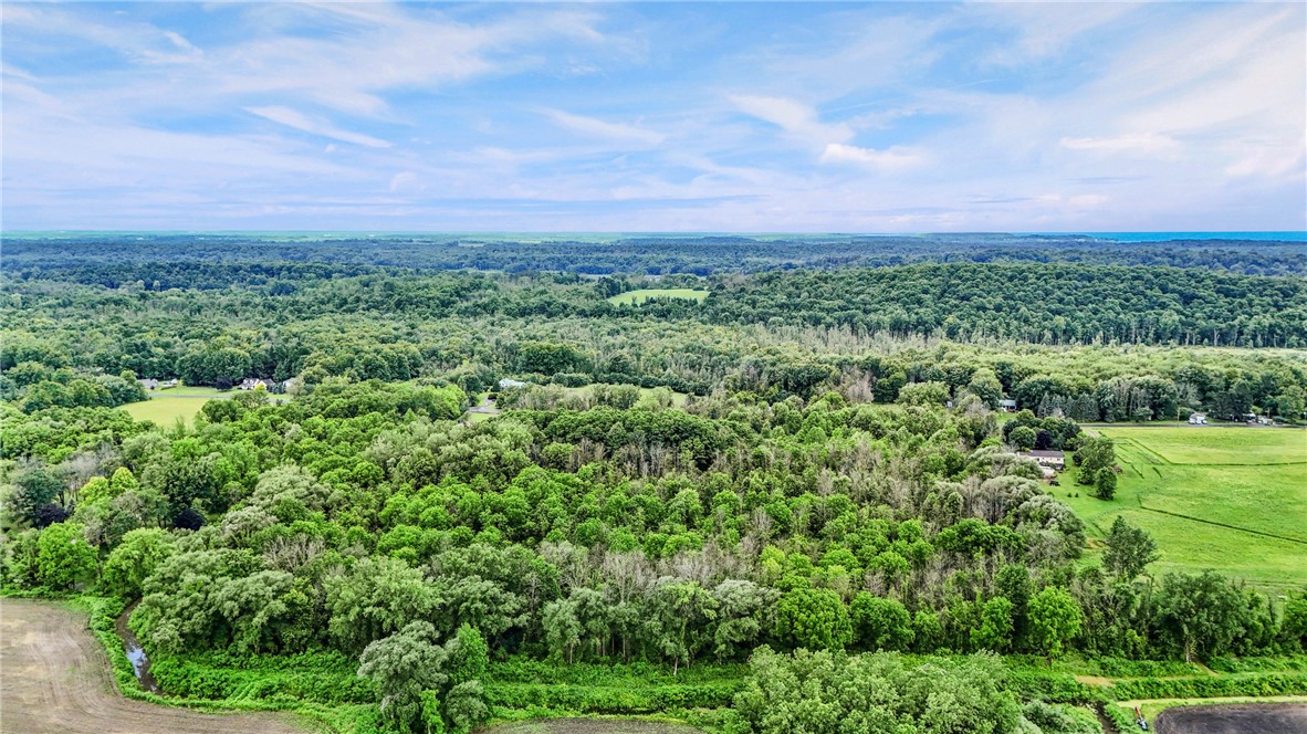 7916 Brown Road Wolcott, NY 14590 - Photo 6 of 7