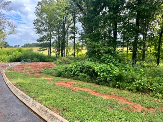 0 Edgewater Way, Unit 148 Jasper, TN 37347 - Photo 3 of 30 IMG_7933