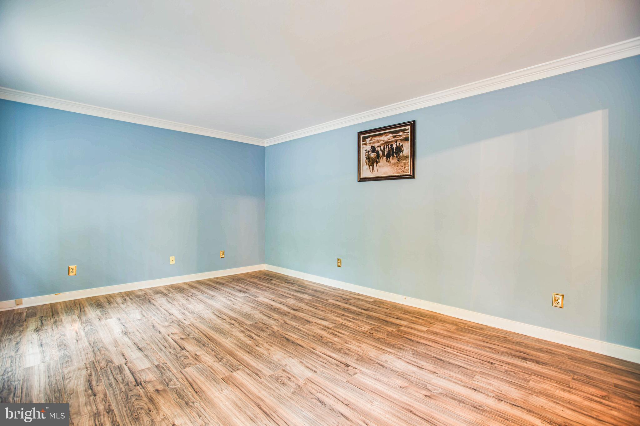 15453 Coatesville Road Beaverdam, VA 23015 - Photo 8 of 62 Gallery Image 8