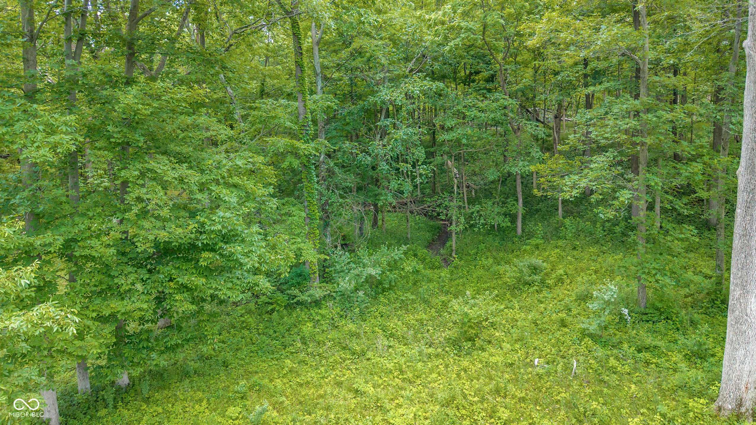 0 400th South Carthage, IN 46115 - Photo 12 of 17