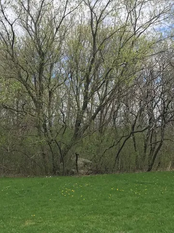 $125,000 | 1386 Hathaway Drive, Farmington, NY 14425