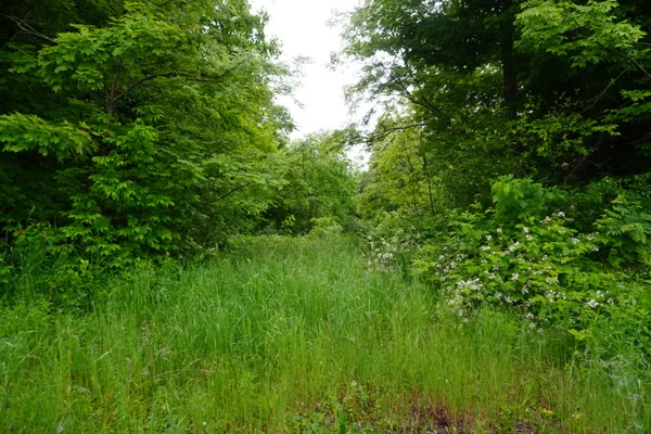$70,000 | Lot 4.111 Lyford Road, Milo, ME 04463