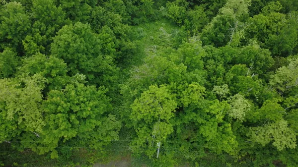 $70,000 | Lot 4.111 Lyford Road, Milo, ME 04463