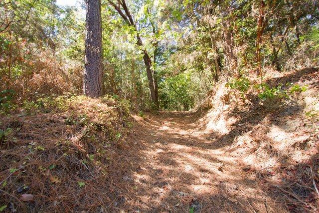 5520 Upper River Road Grants Pass, OR 97526 - Photo 8 of 10 Additional Photo