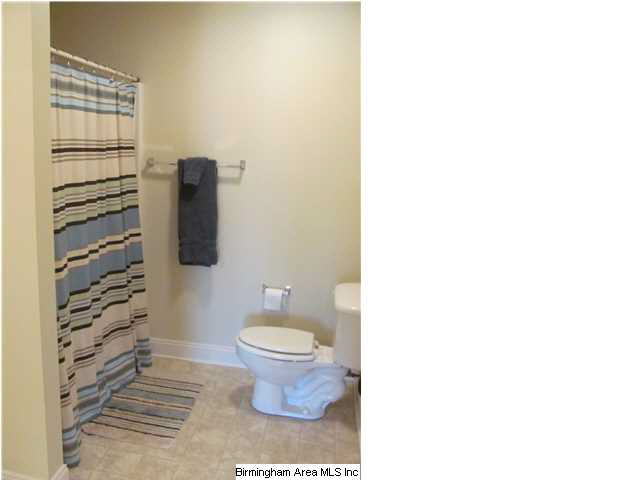 293 Deep Hollow Road Oneonta, AL 35121 - Photo 14 of 15