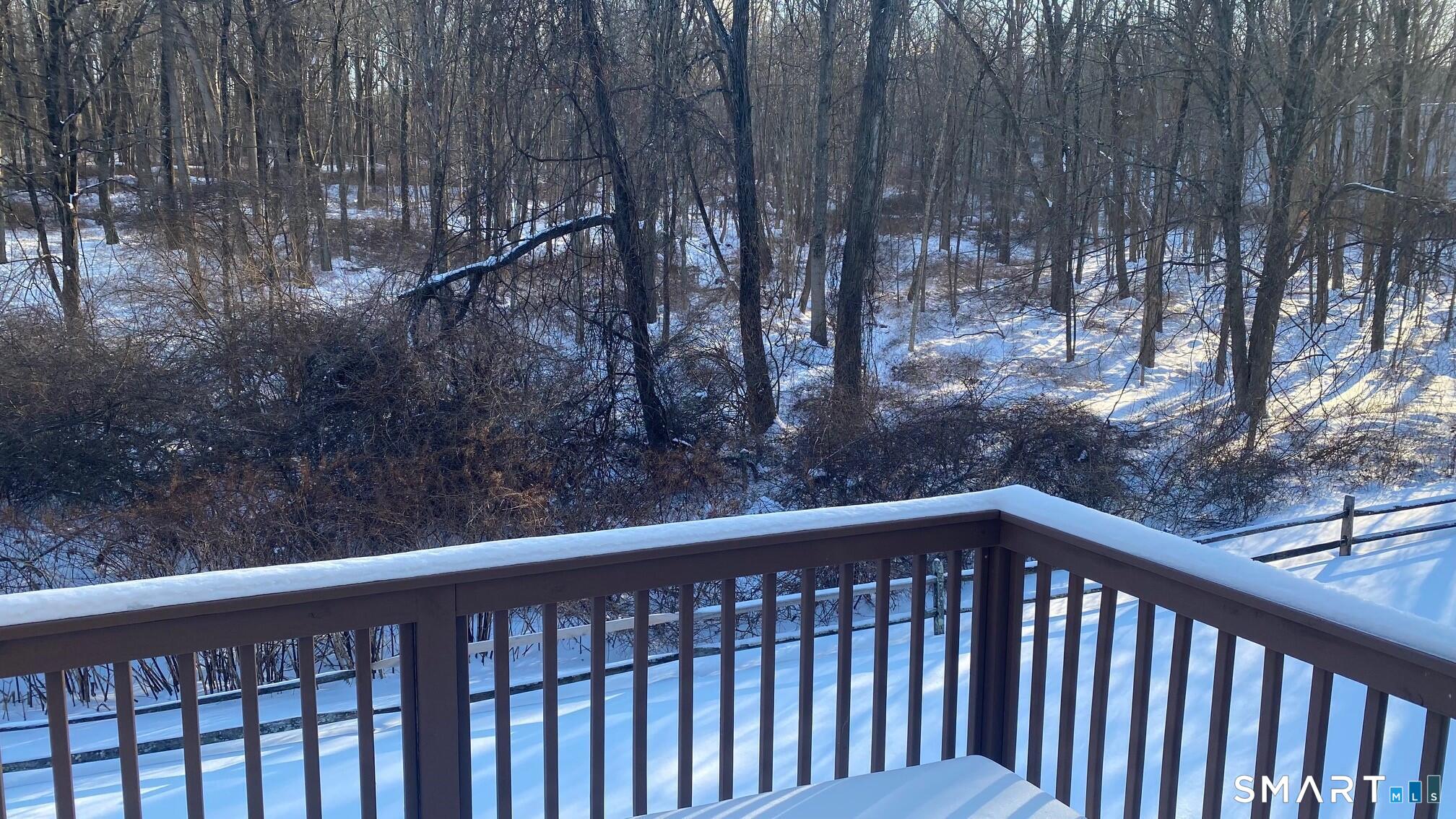403 Larson Drive, Unit 403 Danbury, CT 06810 - Photo 9 of 34 a view of trees from a balcony