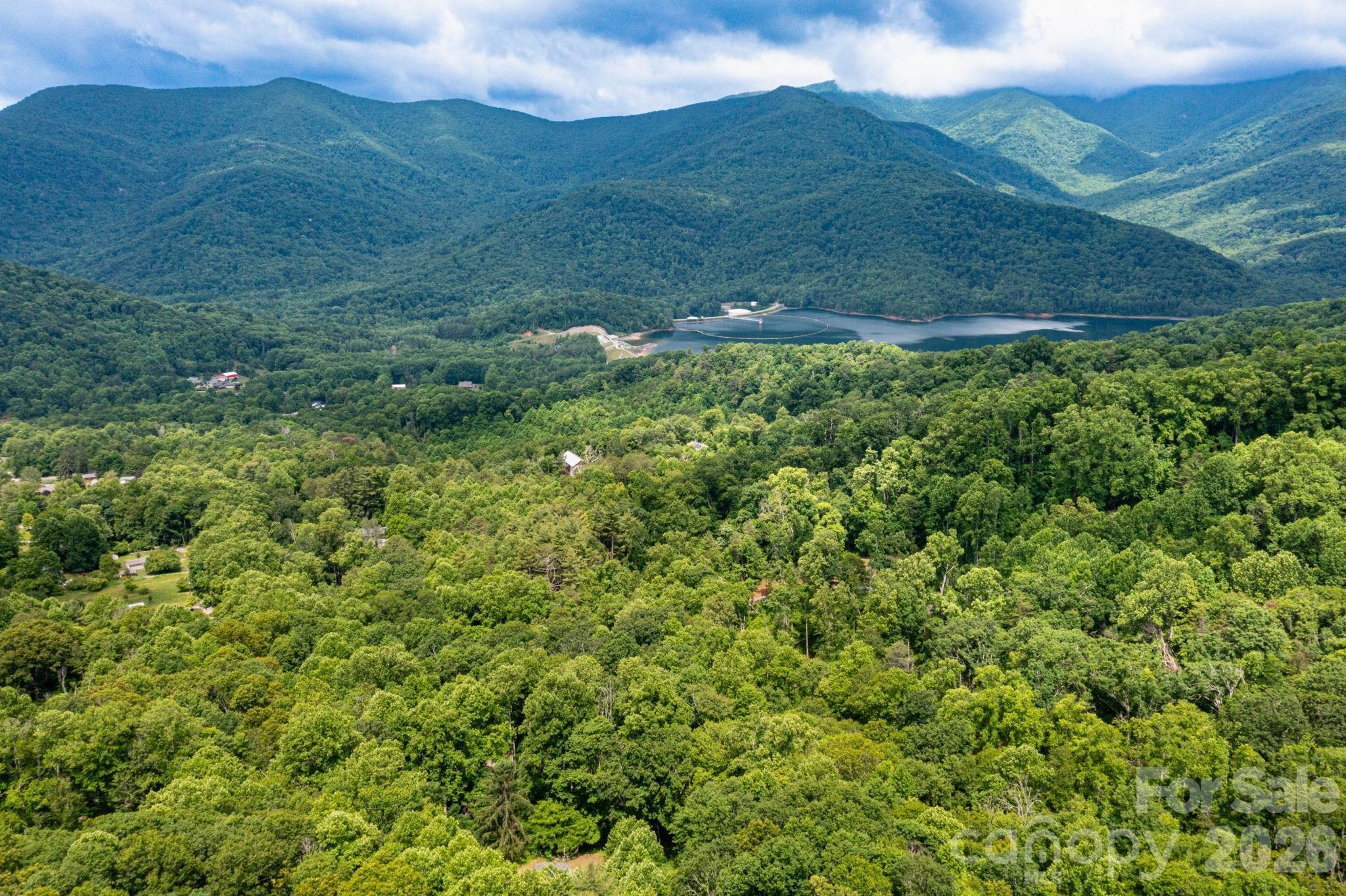 191 Walkertown Road Black Mountain, NC 28711 - Photo 9 of 9