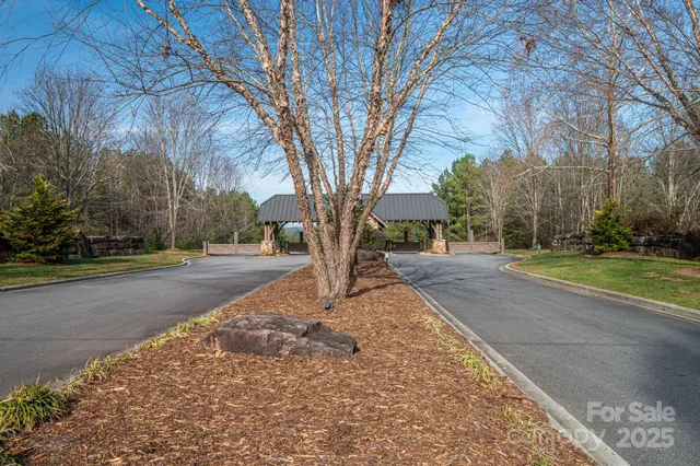 a view of a yard with plants and trees