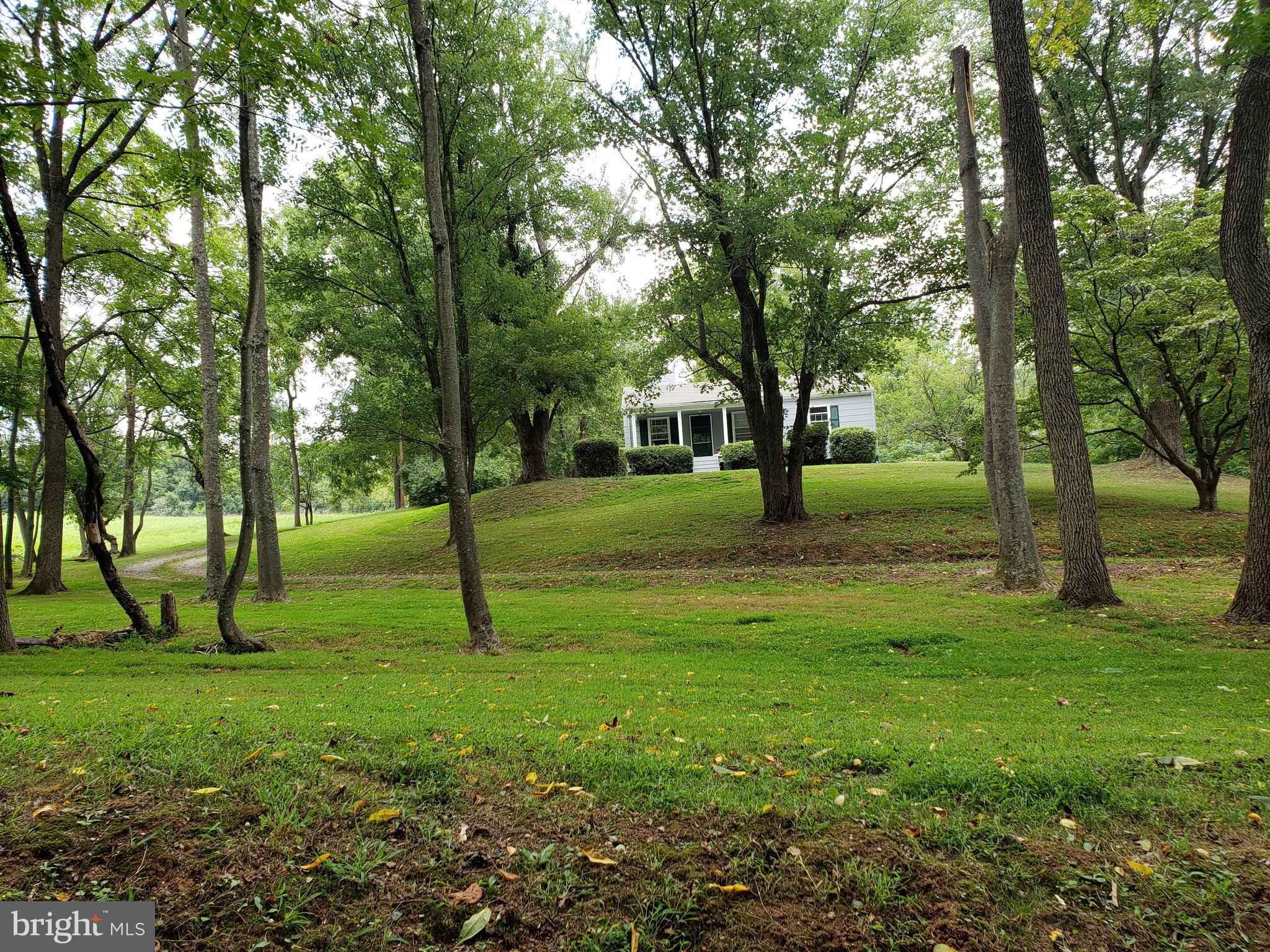38799-38795 Hughesville Road Leesburg, VA 20175 - Photo 2 of 9 a green field with lots of trees
