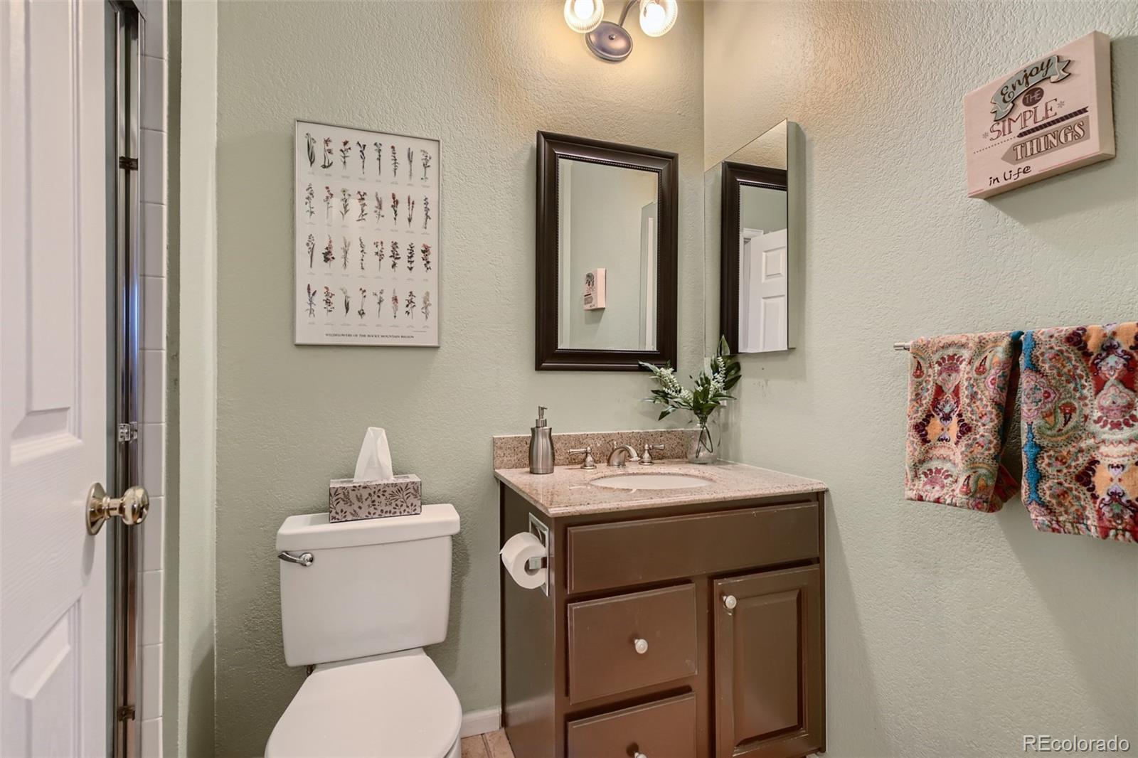 9862 Silver Maple Road Highlands Ranch, CO 80129 - Photo 11 of 28 Gallery Image 11