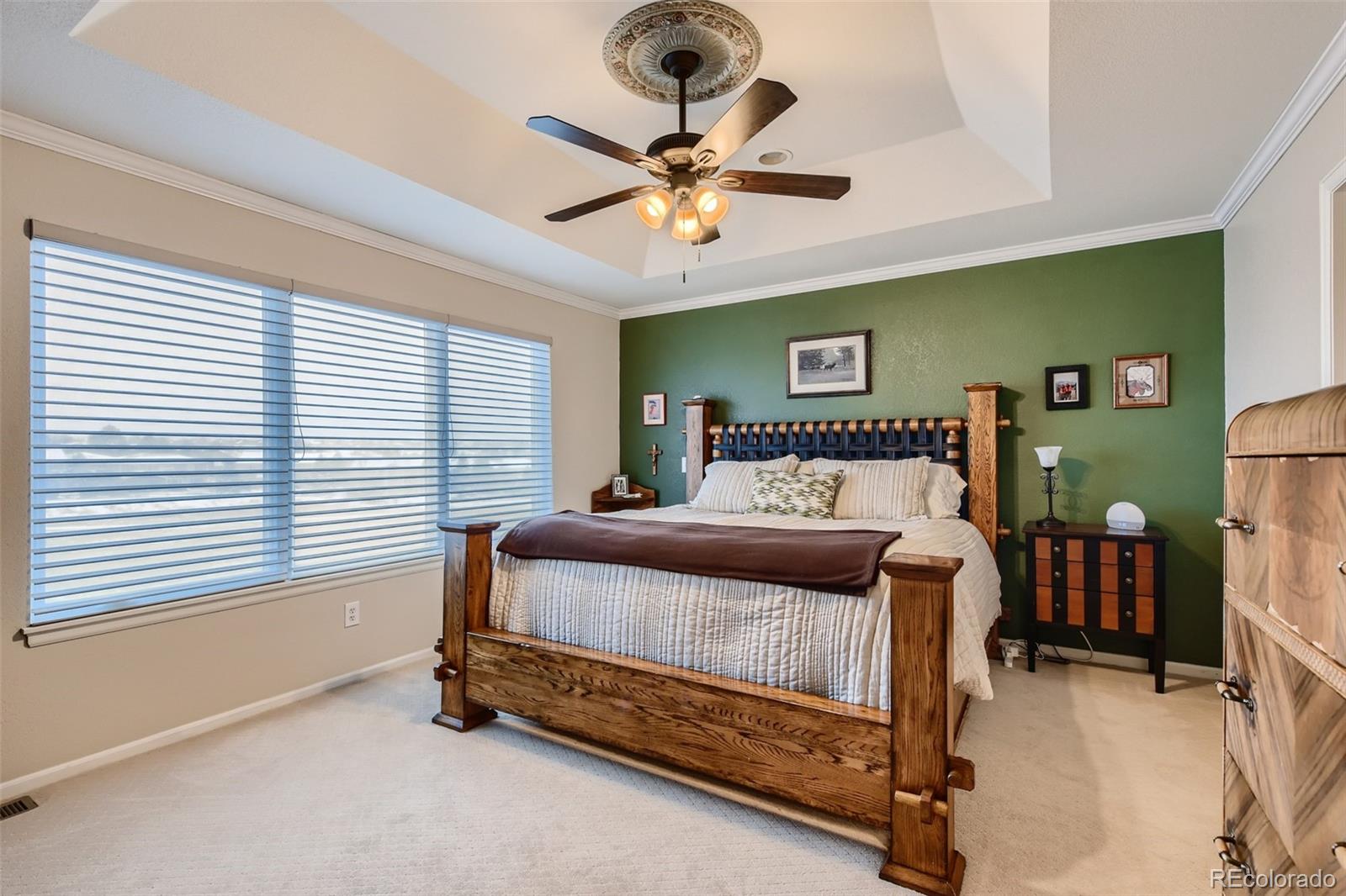 9862 Silver Maple Road Highlands Ranch, CO 80129 - Photo 13 of 28 Gallery Image 13