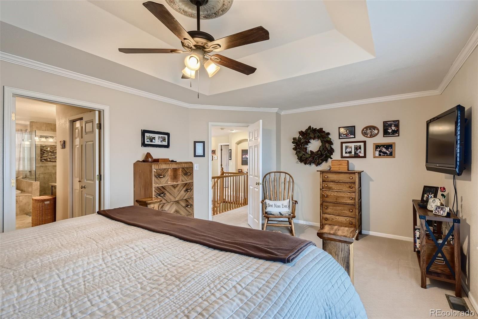 9862 Silver Maple Road Highlands Ranch, CO 80129 - Photo 14 of 28 Gallery Image 14