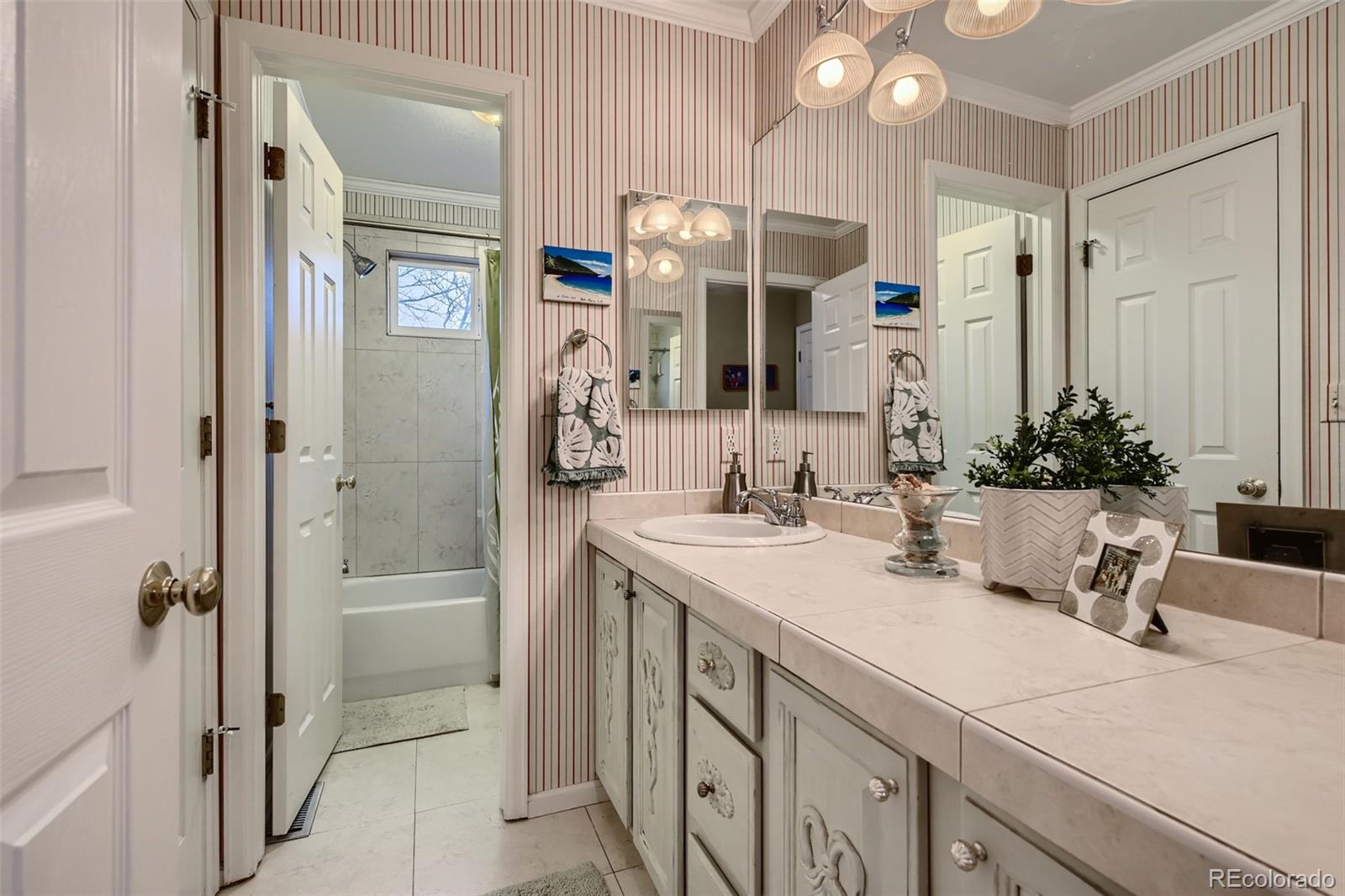 9862 Silver Maple Road Highlands Ranch, CO 80129 - Photo 18 of 28 Gallery Image 18