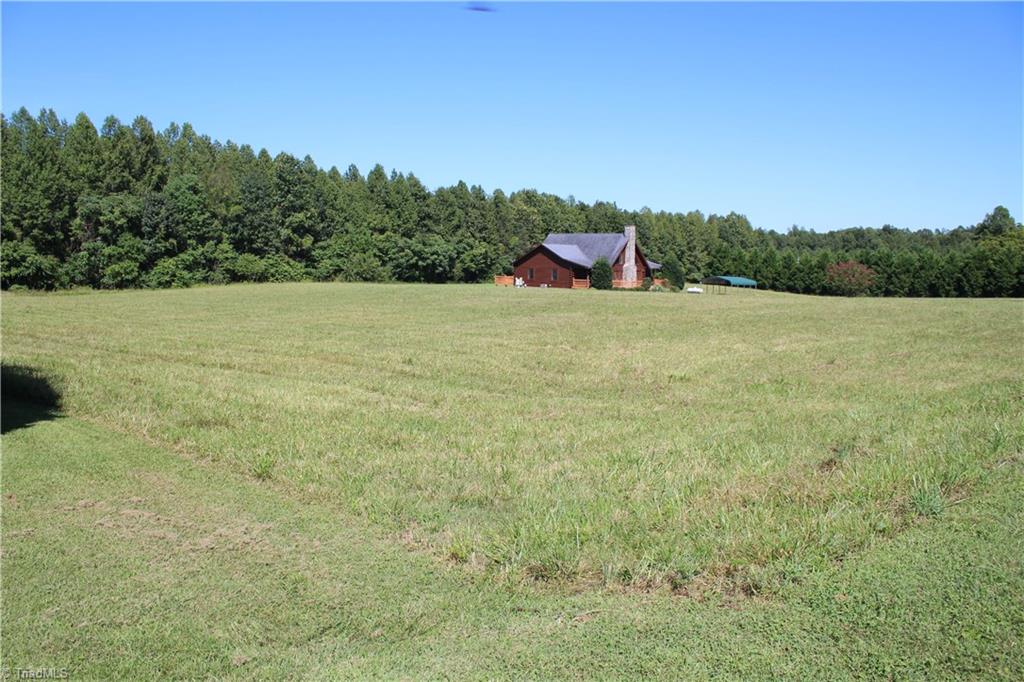 6867 Big Tree Road Liberty, NC 27298 - Photo 8 of 28 Land