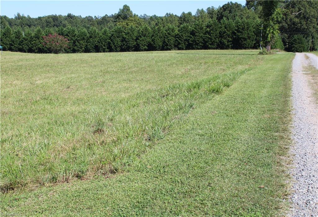6867 Big Tree Road Liberty, NC 27298 - Photo 10 of 28 Big Tree Rd view