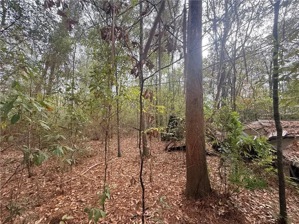 $175,000 | 16040 West Murray Road, Ponchatoula, LA 70454