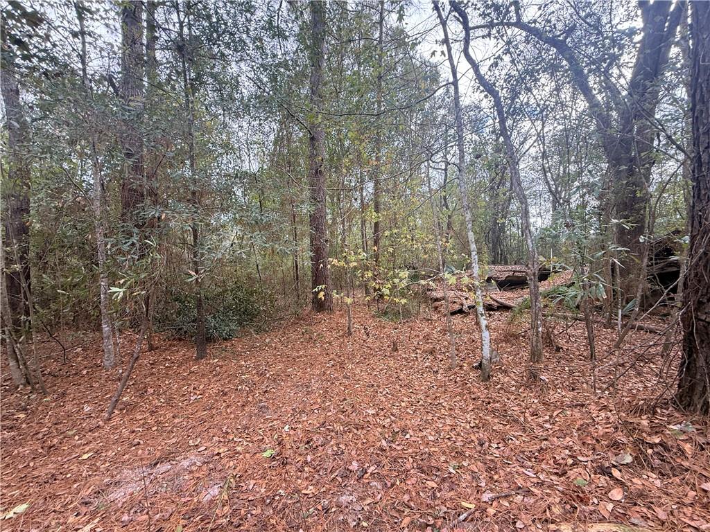 16040 West Murray Road Ponchatoula, LA 70454 - Photo 2 of 4