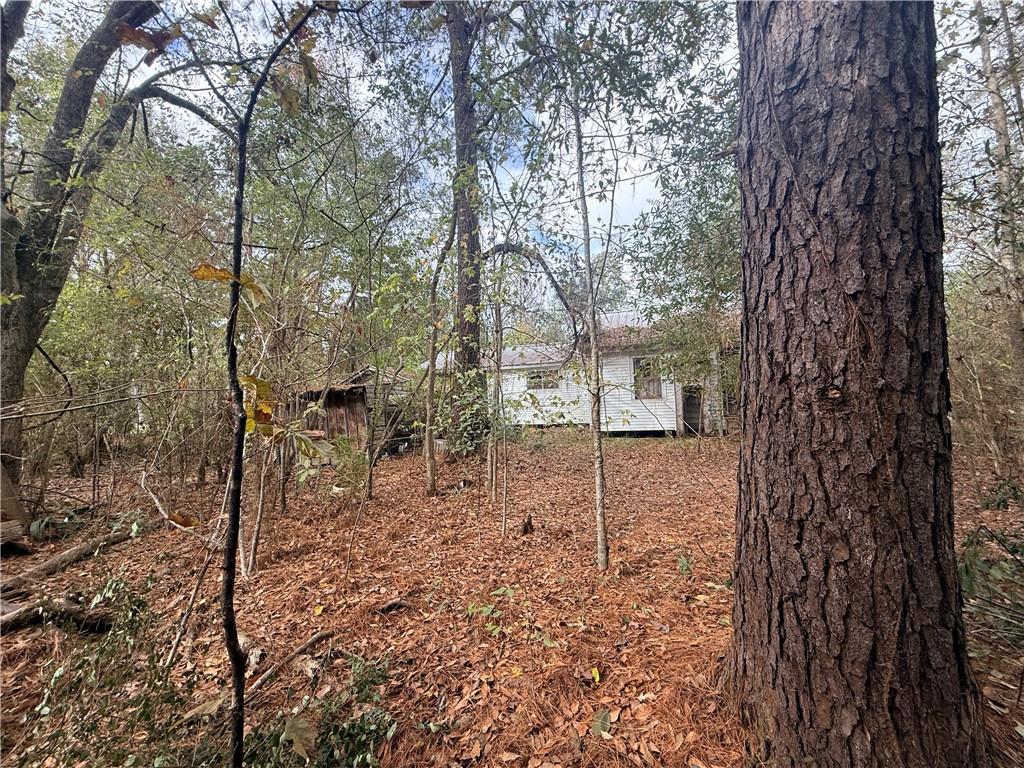 16040 West Murray Road Ponchatoula, LA 70454 - Photo 3 of 4