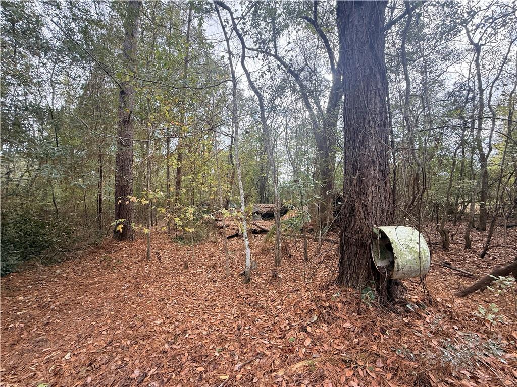 16040 West Murray Road Ponchatoula, LA 70454 - Photo 4 of 4