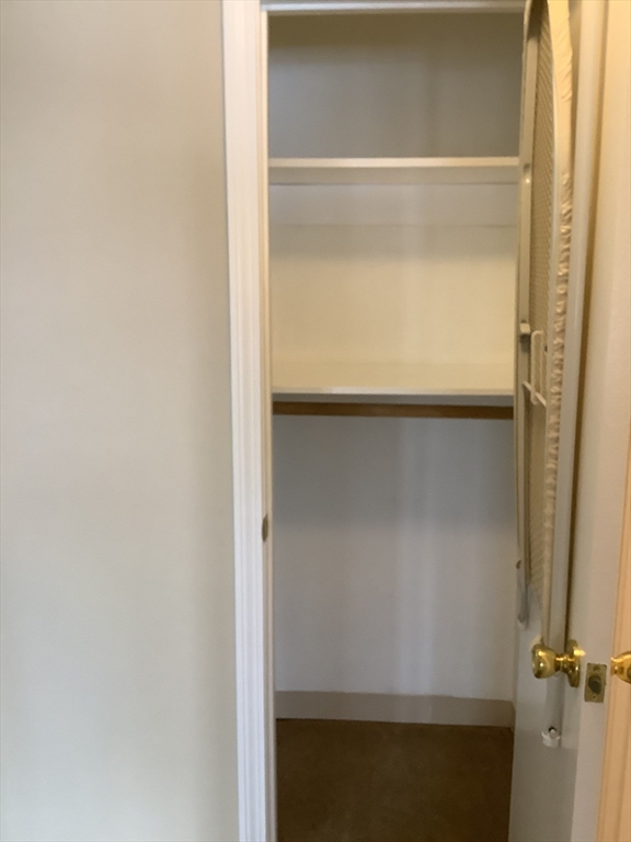 175 Ward Street, Unit 30 Revere, MA 02151 - Photo 9 of 20 a close view of closet