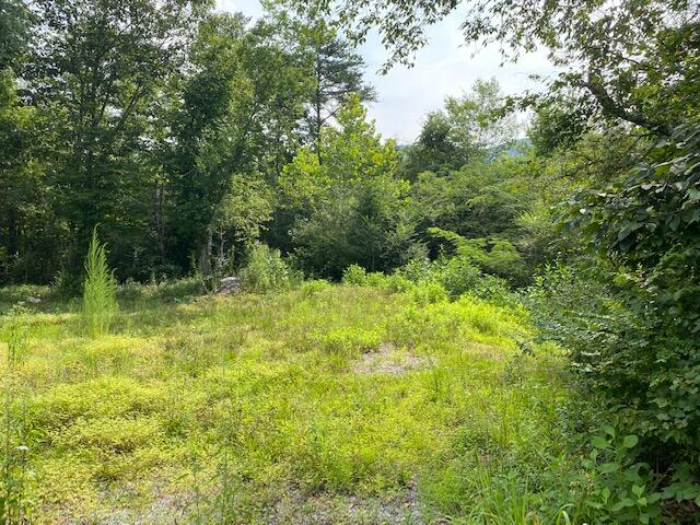 792 Gulch Road Trenton, GA 30752 - Photo 5 of 17 IMG_3316