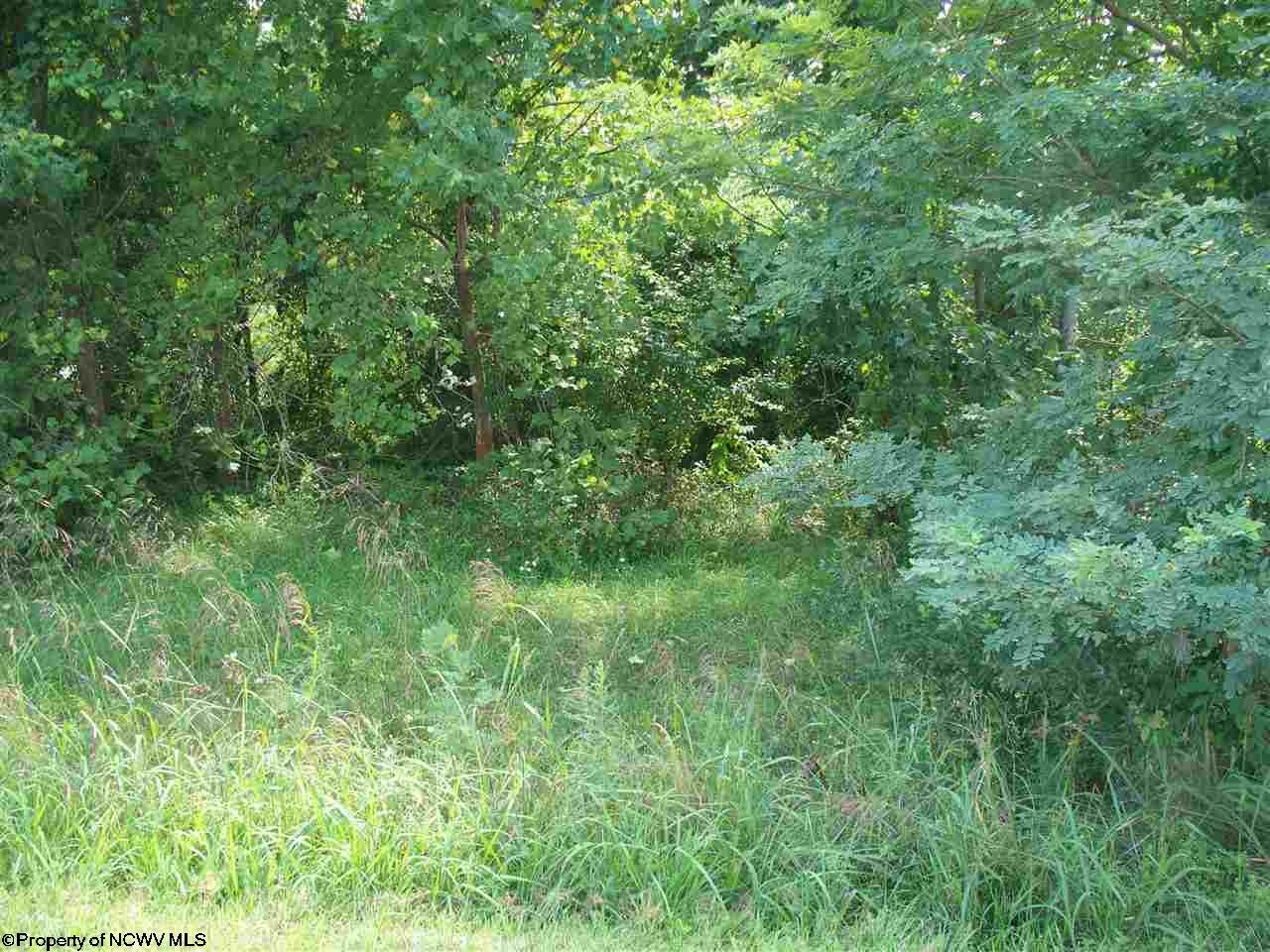 29-30 Ridgeview Jane Lew, WV 26378 - Photo 3 of 9 Gallery Image 3