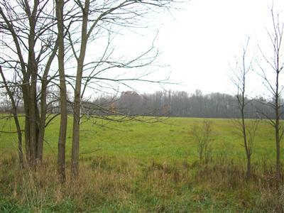 Johnson Road Union City, MI 49094 - Photo 1 of 3 Primary Photo