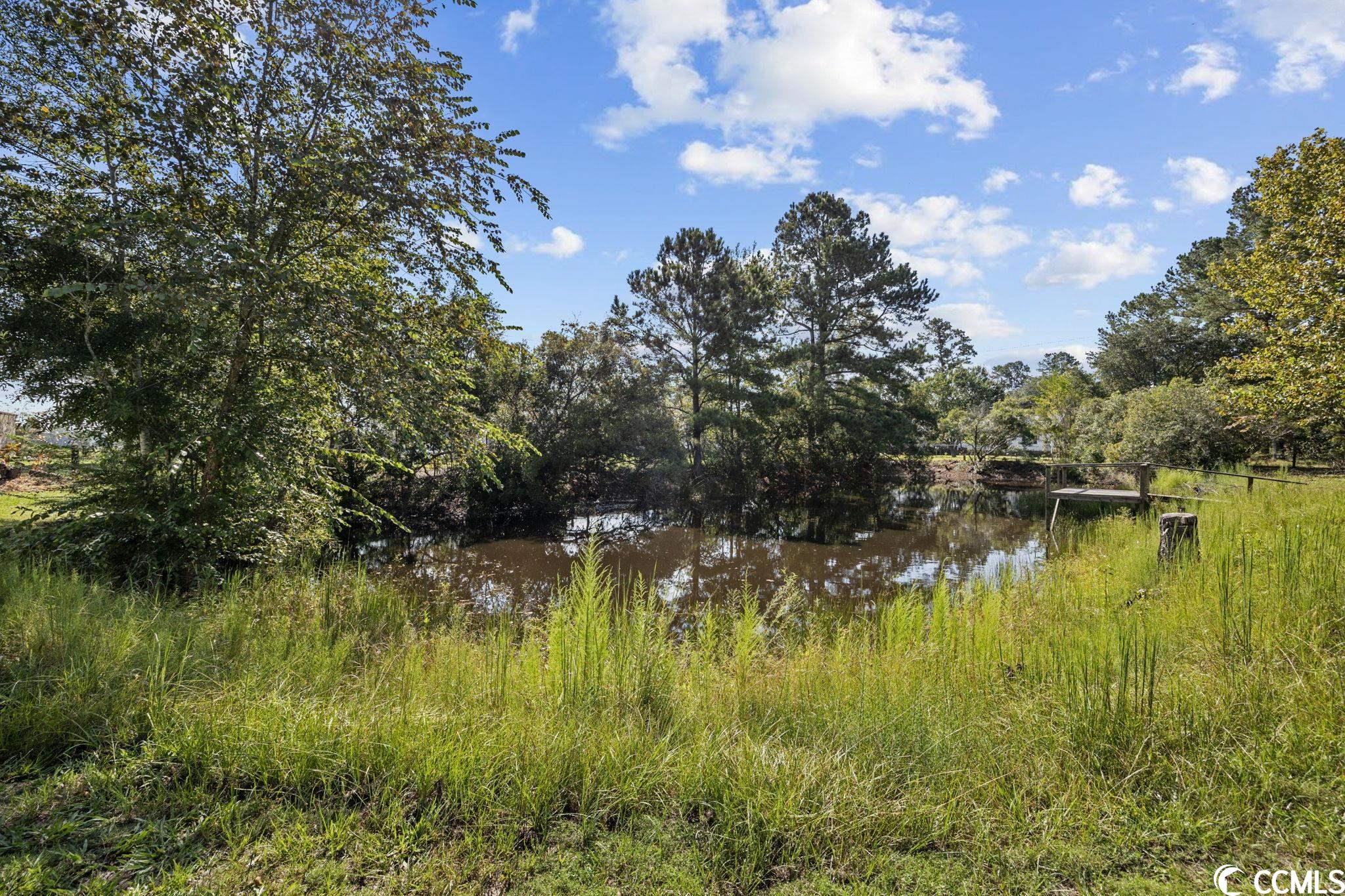 3480 Wayside Road Conway, SC 29527 - Photo 21 of 29 Gallery Image 21