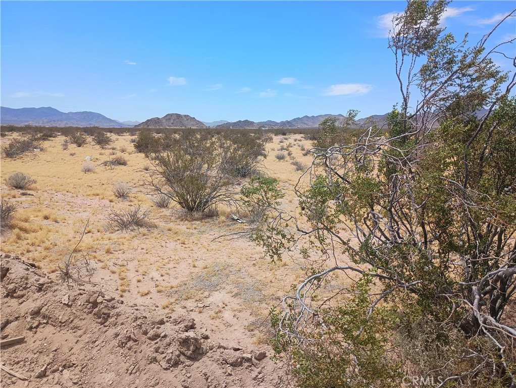 5 North Side Road Lucerne Valley, CA 92356 - Photo 4 of 7