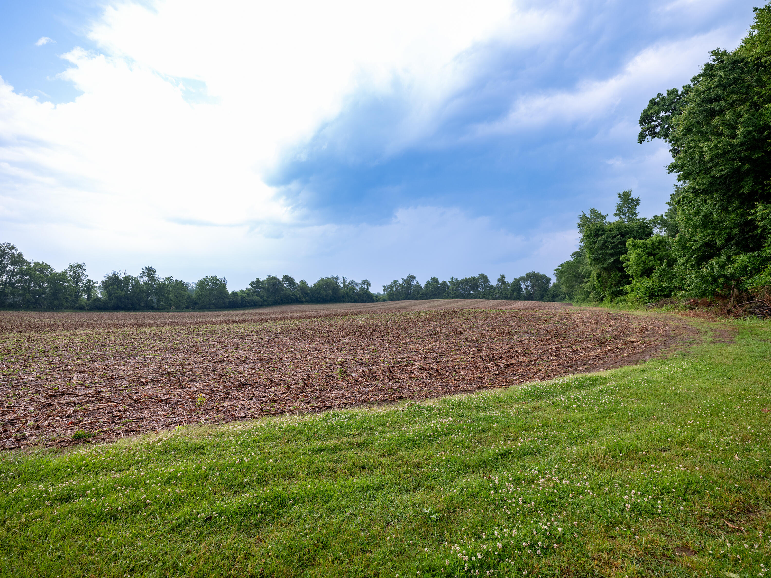 Stone Jug Road Battle Creek, MI 49015 - Photo 3 of 6 15000 Stone Jug Rd-129